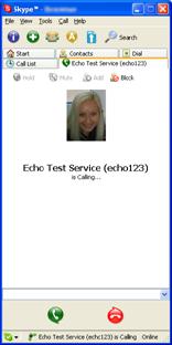 echo123 call test service