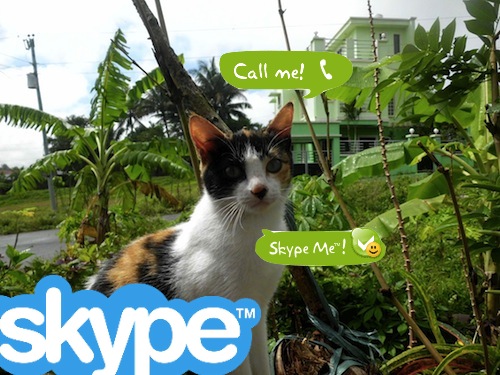 Skype Community